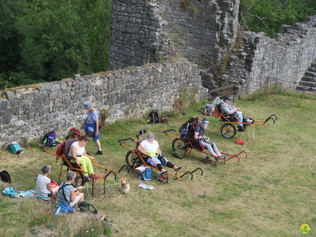 Randonnée joëlettes à Falaën