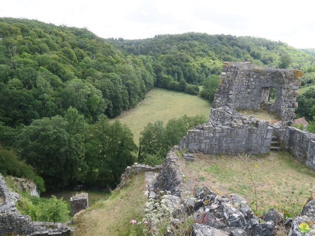 Randonnée joëlettes à Falaën