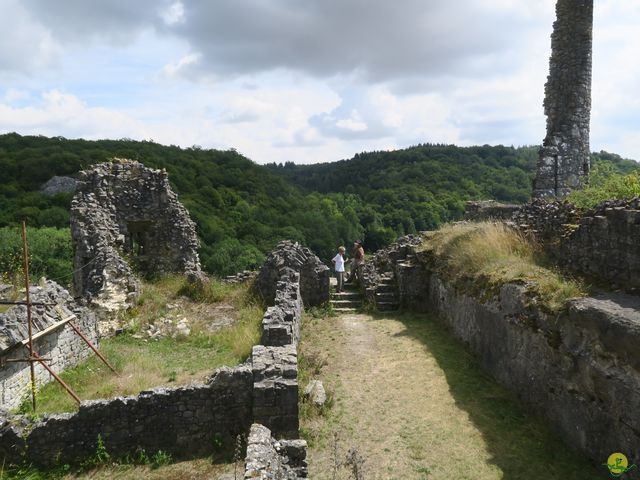 Randonnée joëlettes à Falaën