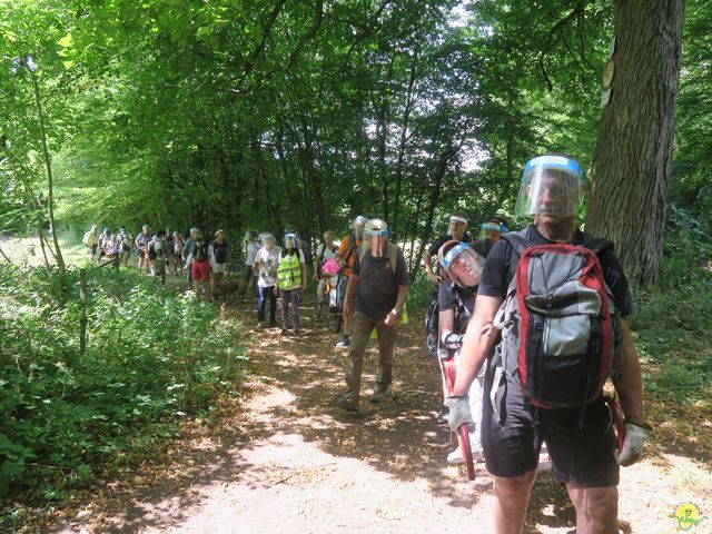 Randonnée joëlettes à Falaën