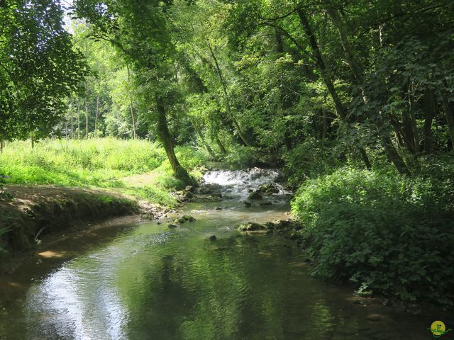 Randonnée joëlettes à Falaën