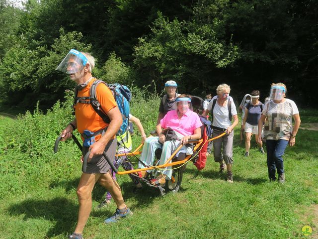 Randonnée joëlettes à Falaën