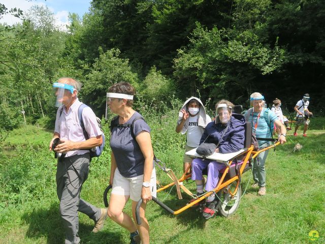 Randonnée joëlettes à Falaën