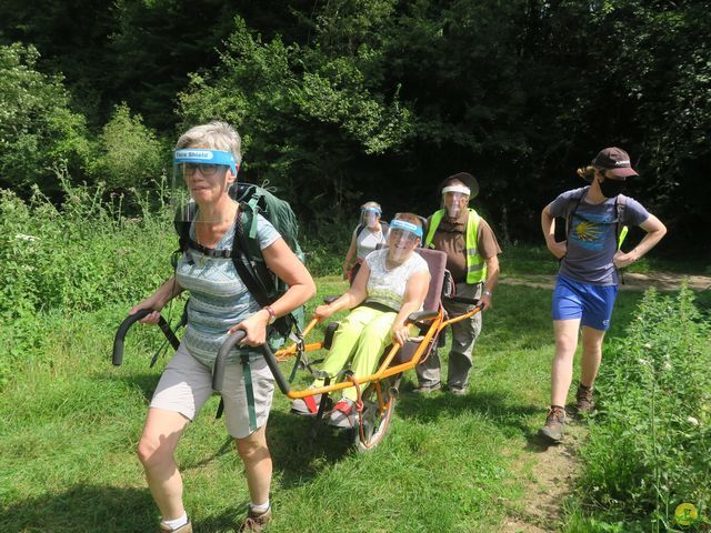 Randonnée joëlettes à Falaën