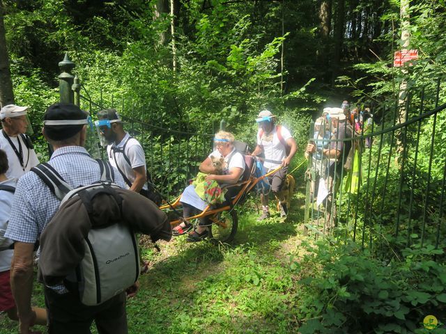 Randonnée joëlettes à Falaën