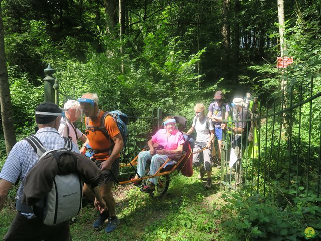 Randonnée joëlettes à Falaën