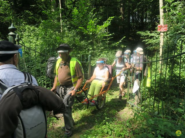 Randonnée joëlettes à Falaën