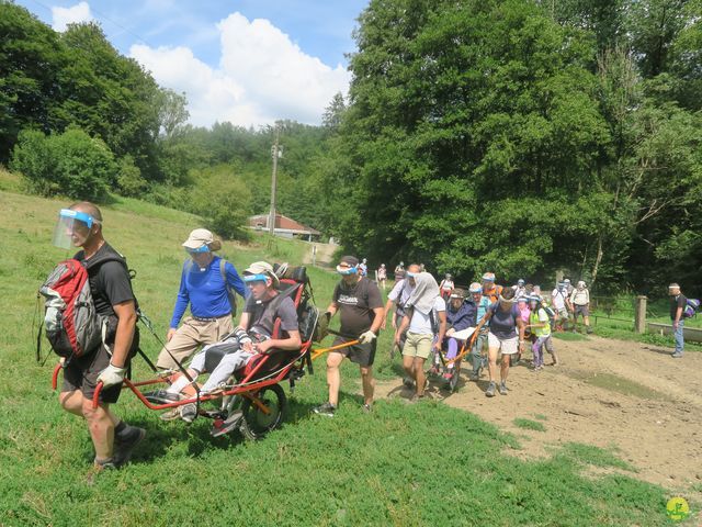 Randonnée joëlettes à Falaën