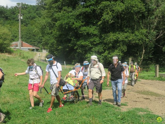 Randonnée joëlettes à Falaën