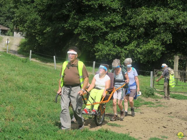 Randonnée joëlettes à Falaën