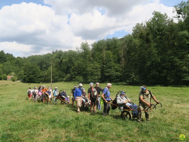 Randonnée joëlettes à Falaën