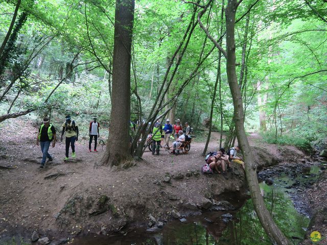 Randonnée joëlettes à Tilff