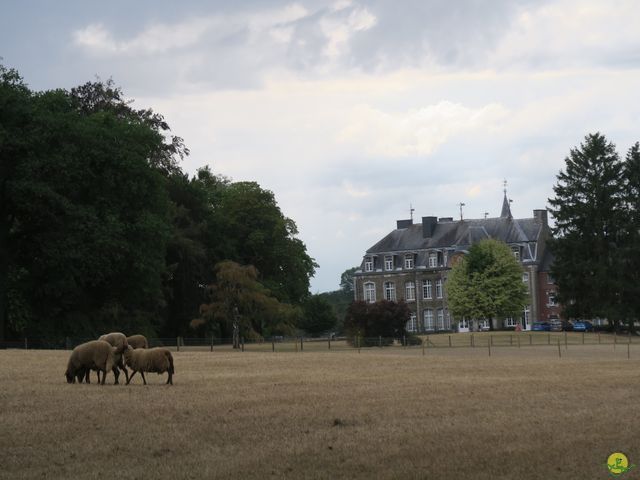 Randonnée joëlettes à Tilff