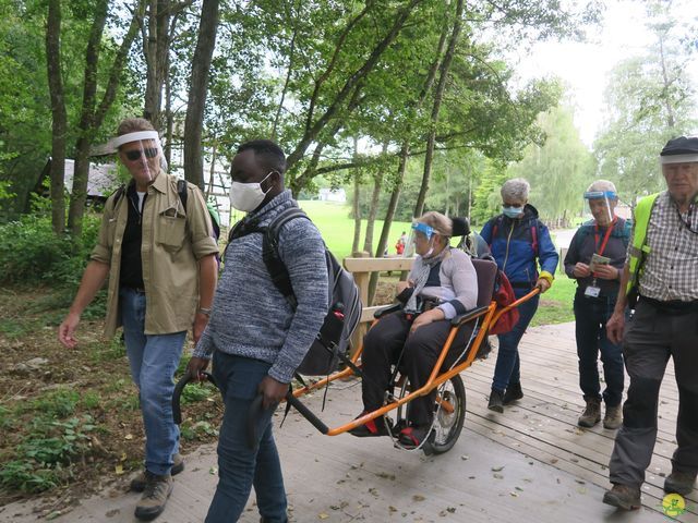 Randonnée joëlettes à Nassogne