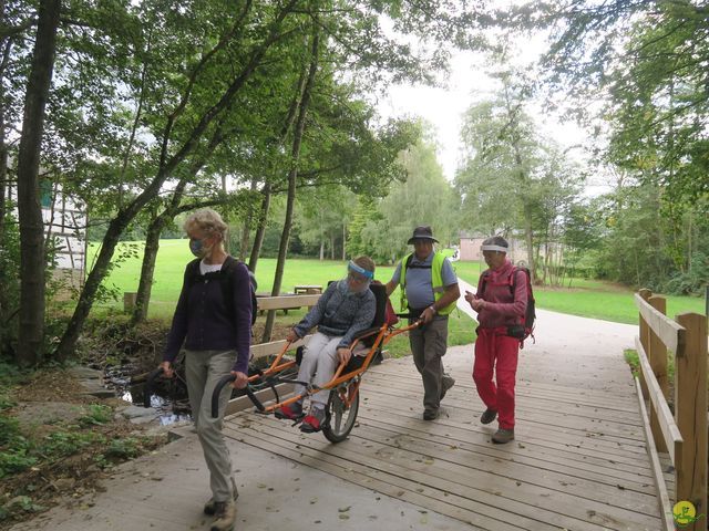 Randonnée joëlettes à Nassogne