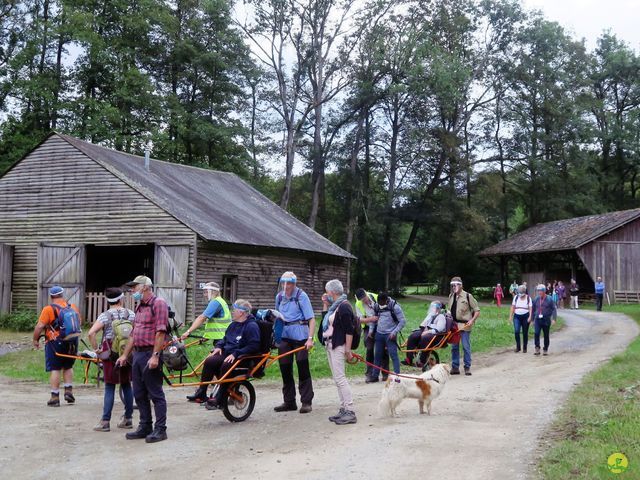 Randonnée joëlettes à Nassogne