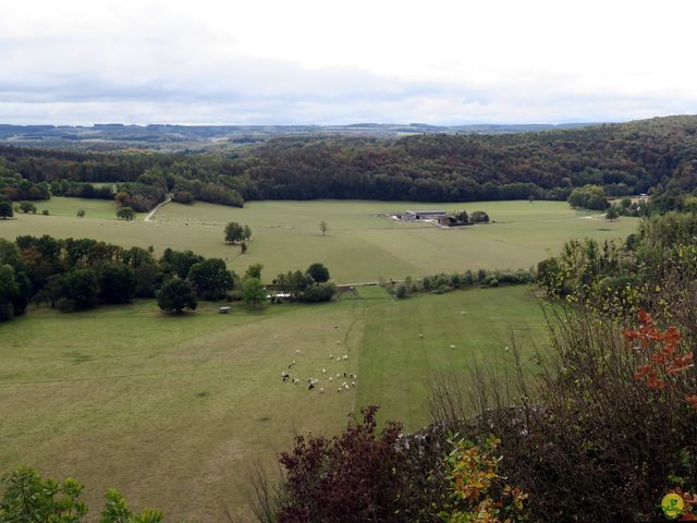 Randonnée joëlettes à Rochefort