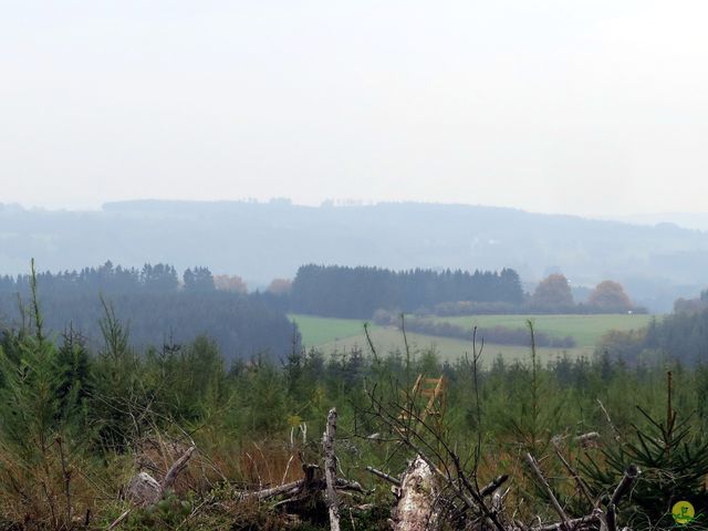 Randonnée joëlettes à Botrange