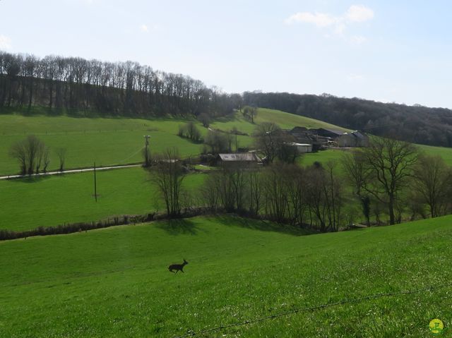 Randonnée joëlettes à Crupet