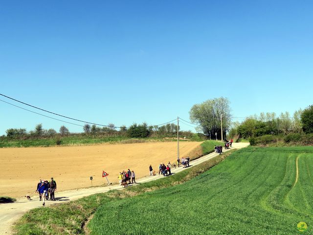 Randonnée joëlettes à Ohain