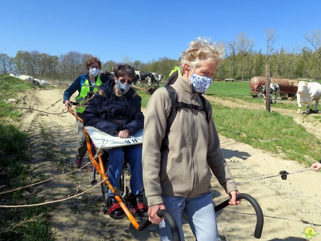 Randonnée joëlettes à Ohain