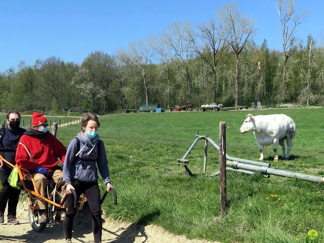 Randonnée joëlettes à Ohain