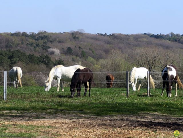 Randonnée joëlettes à Ohain