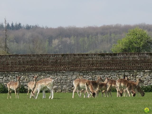 Randonnée joëlettes à Lavaux-Ste-Anne