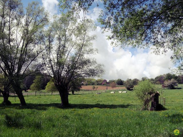 Randonnée joëlettes à Braine-le-Château