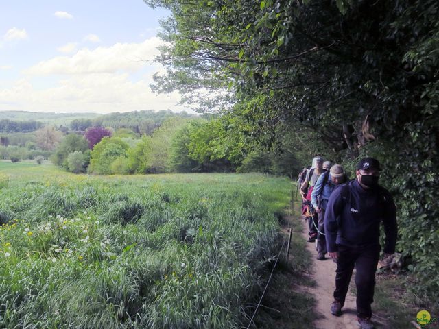 Randonnée joëlettes à Braine-le-Château