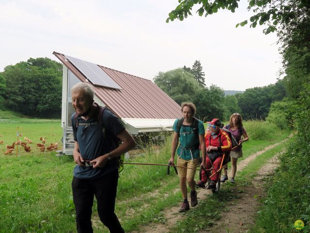 Randonnée joëlettes à Bousval