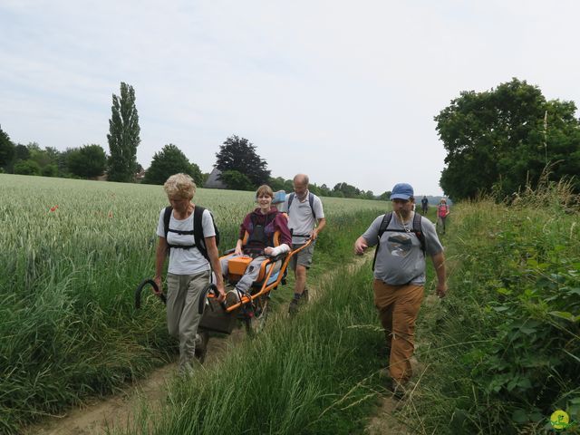 Randonnée joëlettes à Bousval