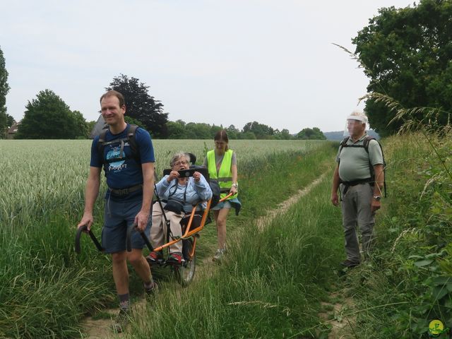 Randonnée joëlettes à Bousval