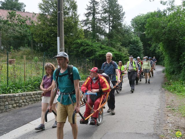 Randonnée joëlettes à Bousval