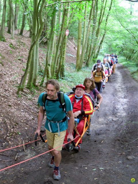 Randonnée joëlettes à Bousval