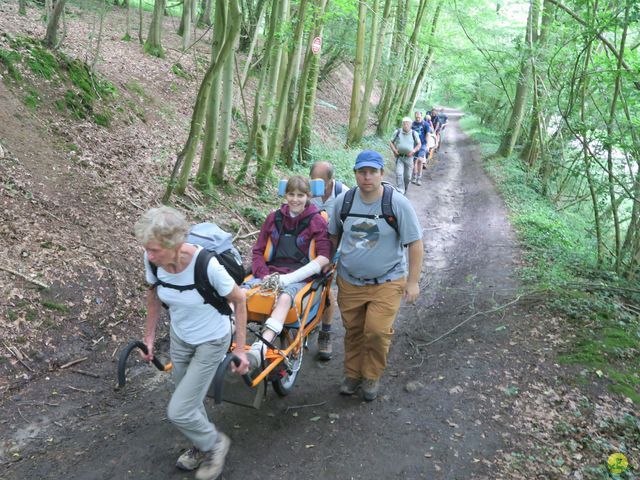 Randonnée joëlettes à Bousval