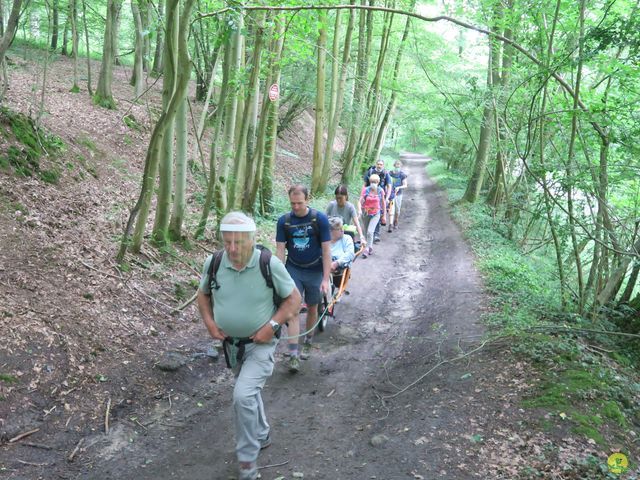 Randonnée joëlettes à Bousval