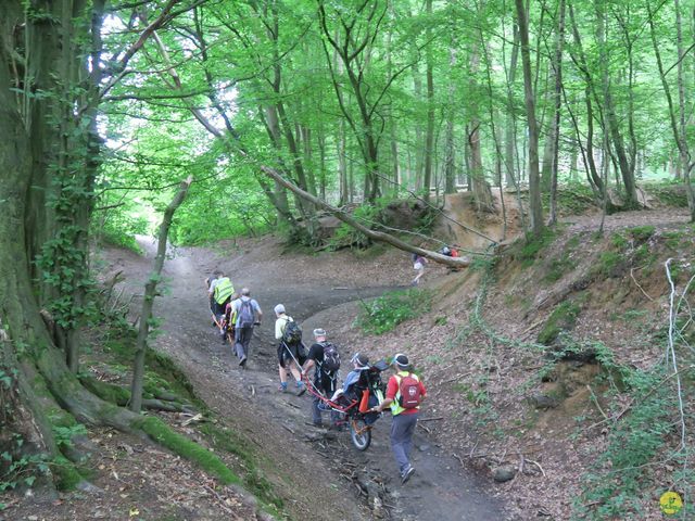 Randonnée joëlettes à Bousval