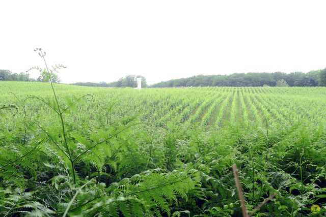 Randonnée joëlettes à Bousval