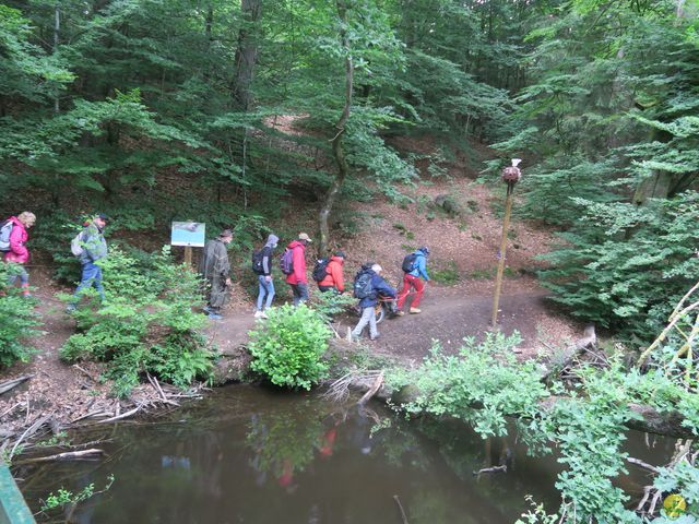 Randonnée joëlettes à Habay-la-Neuve