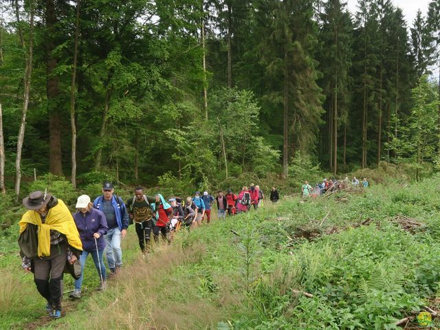 Randonnée joëlettes à Habay-la-Neuve