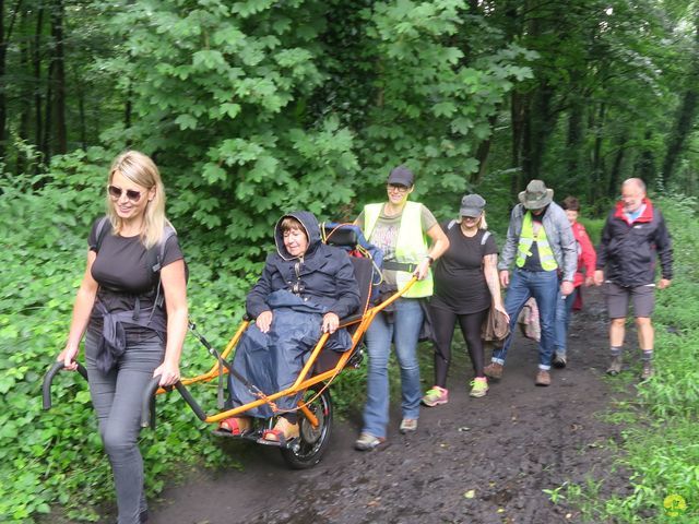 Randonnée joëlettes à Dour