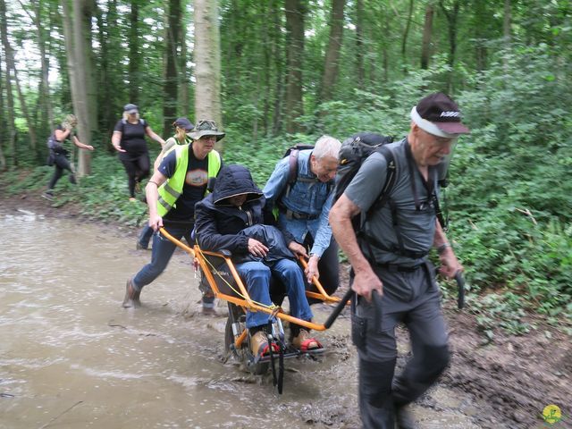 Randonnée joëlettes à Dour