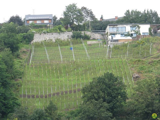 Randonnée joëlettes à Huy