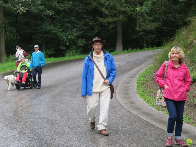 Randonnée joëlettes à Chevetogne