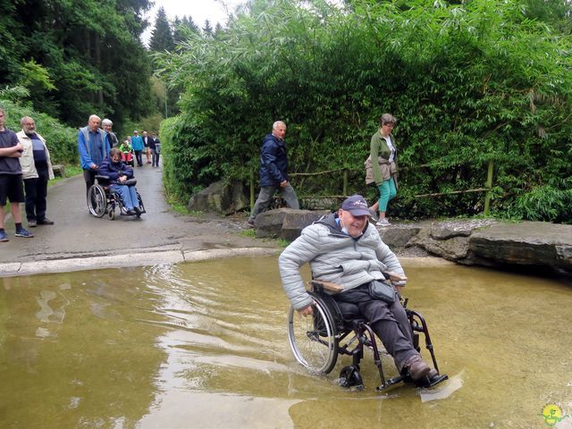 Randonnée joëlettes à Chevetogne