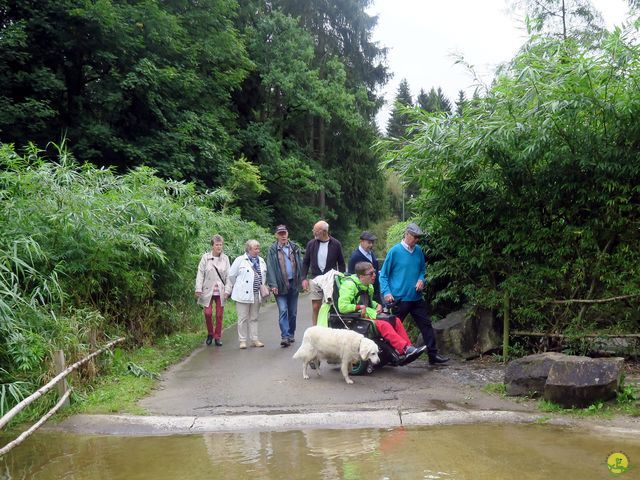 Randonnée joëlettes à Chevetogne