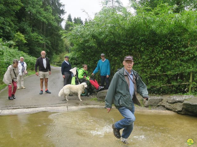 Randonnée joëlettes à Chevetogne