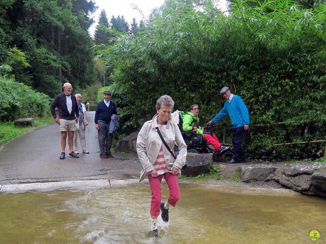 Randonnée joëlettes à Chevetogne