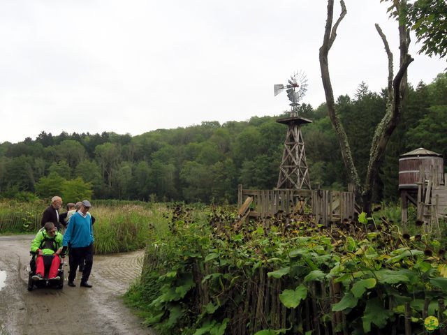 Randonnée joëlettes à Chevetogne